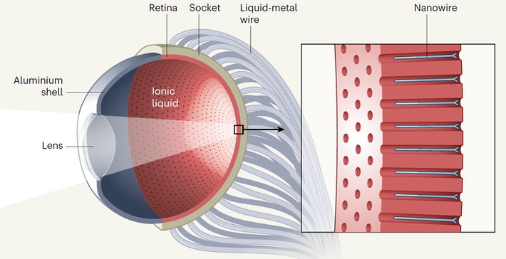 This Robotic Eyeball Might Outperform Human Eyes Soon This Robotic Eyeball Might Outperform Human Eyes Soon