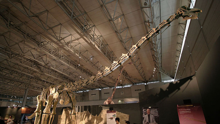 Scientists Unearth Fossils of What May Be the World's Oldest Titanosaur