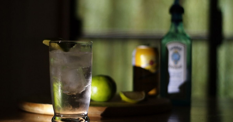 Astronomers Dub the 'Really Habitable Zone:' Exoplanets With Gin and Tonic