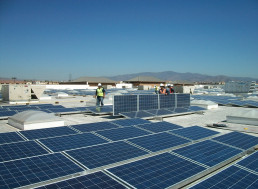 How Companies are Grappling with the Future of Renewable Energy