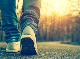 Ancient Supernovae Could Be The Reason We Walk on Two Legs