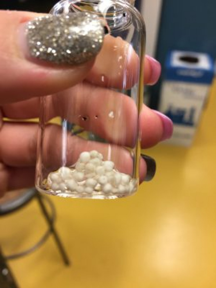 Seafood Waste-Based 'Sponge' Could Help Clear the Sea Seafood Waste-Based 'Sponge' Could Help Clear the Sea