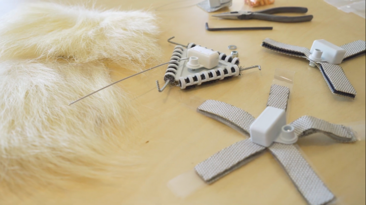 New Stick-On Tech Could Solve Polar Bear Tracking Problem New Stick-On Tech Could Solve Polar Bear Tracking Problem