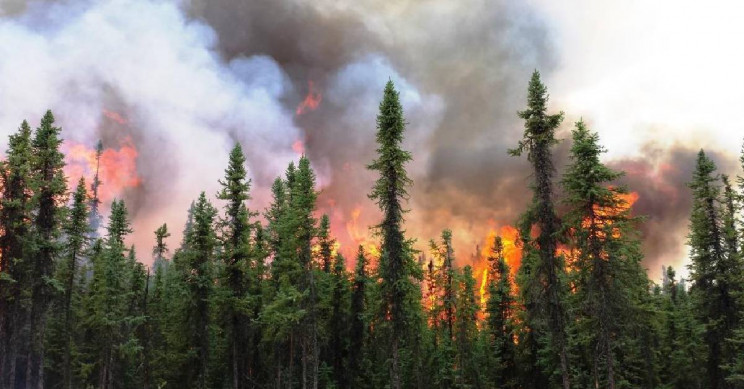 Arctic Wildfires and Their Effects on Our Planet