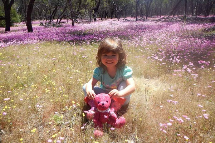 Six-Year-Old Grace's Love for Owls Has Made Her a Published Scientific Researcher Six-Year-Old Grace's Love for Owls Has Made Her a Published Scientific Researcher