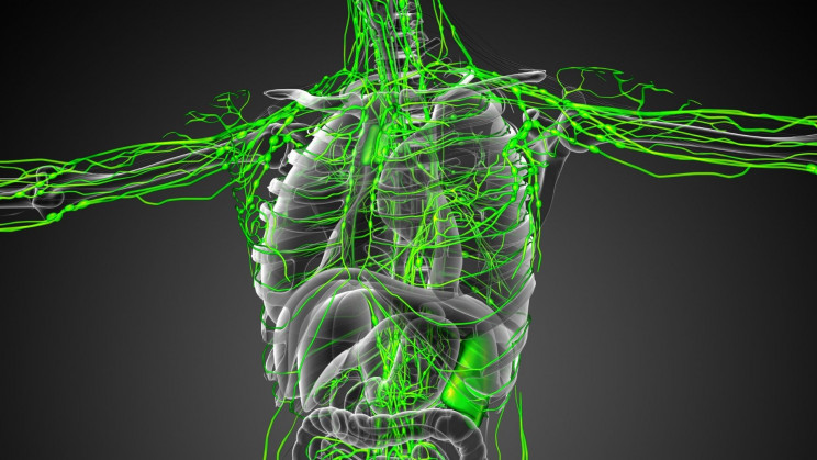 Scientists Now Know Why Some People Gain 'Superhuman' Immunity to COVID-19