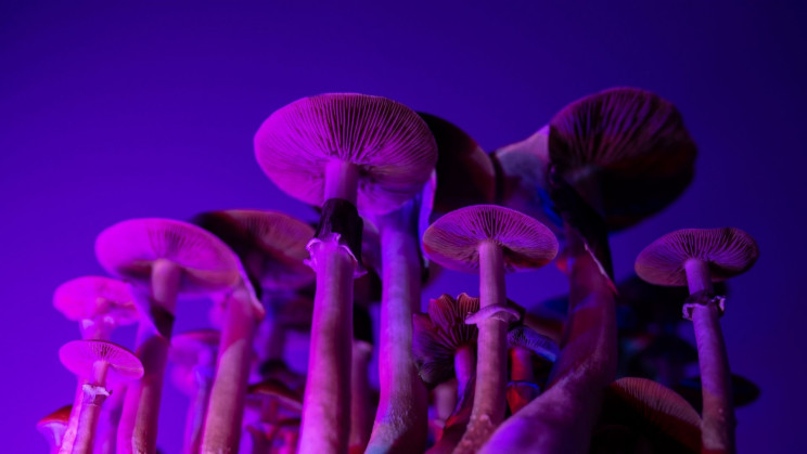 Psychedelic-Like Drug Produces Antidepressant Effects Without Hallucinations
