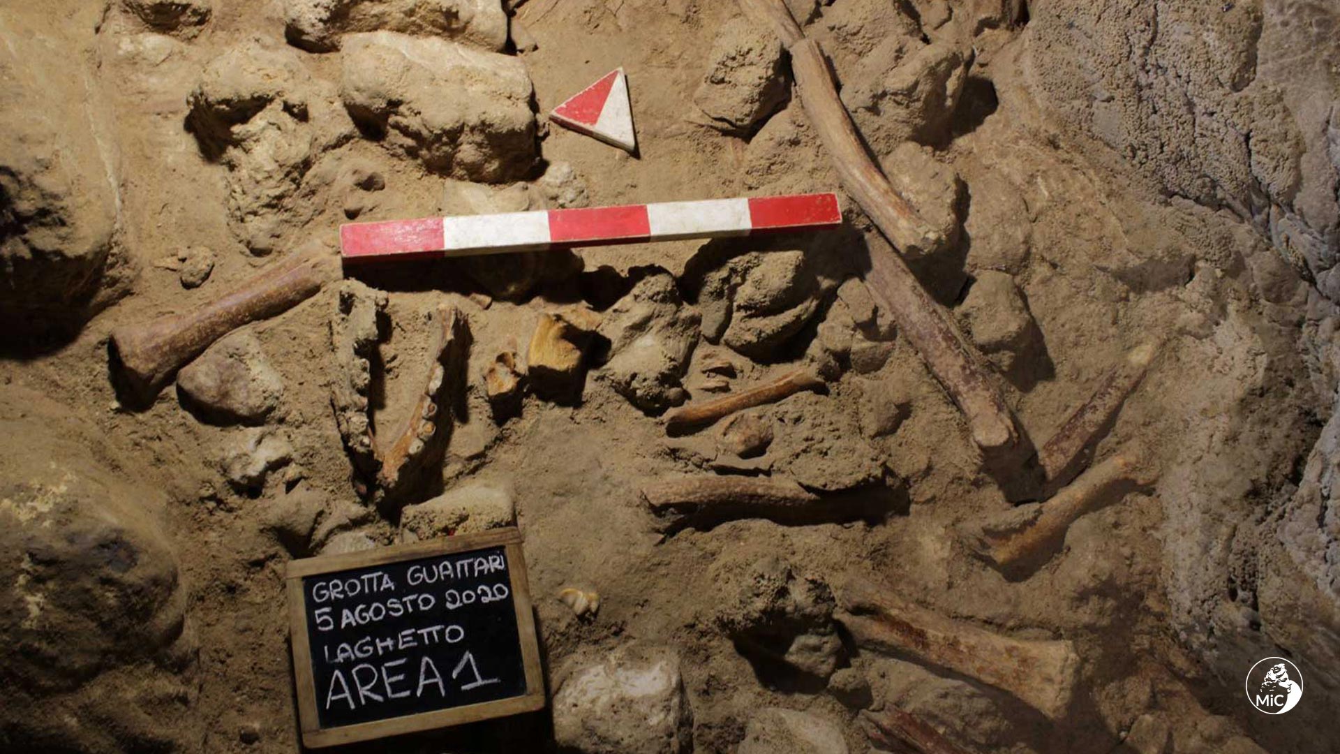 A Rare Discovery: Fossils of 9 Neanderthals Uncovered Near Rome A Rare Discovery: Fossils of 9 Neanderthals Uncovered Near Rome
