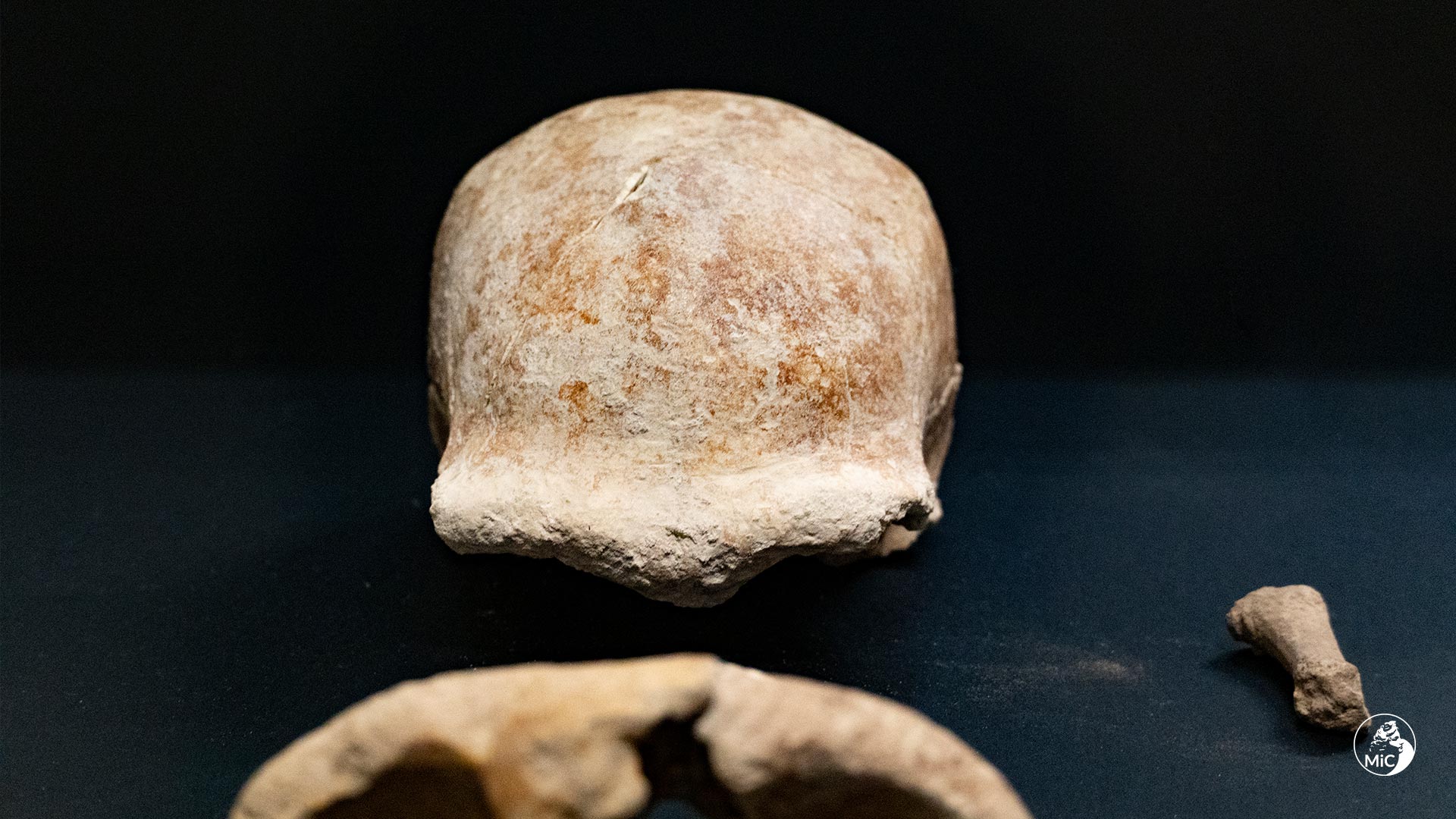 A Rare Discovery: Fossils of 9 Neanderthals Uncovered Near Rome A Rare Discovery: Fossils of 9 Neanderthals Uncovered Near Rome