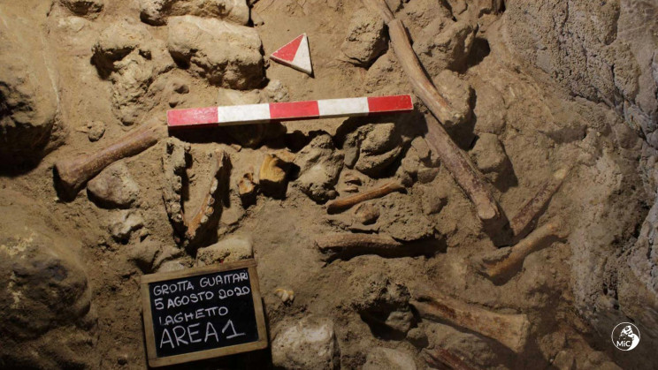 A Rare Discovery: Fossils of 9 Neanderthals Uncovered Near Rome A Rare Discovery: Fossils of 9 Neanderthals Uncovered Near Rome