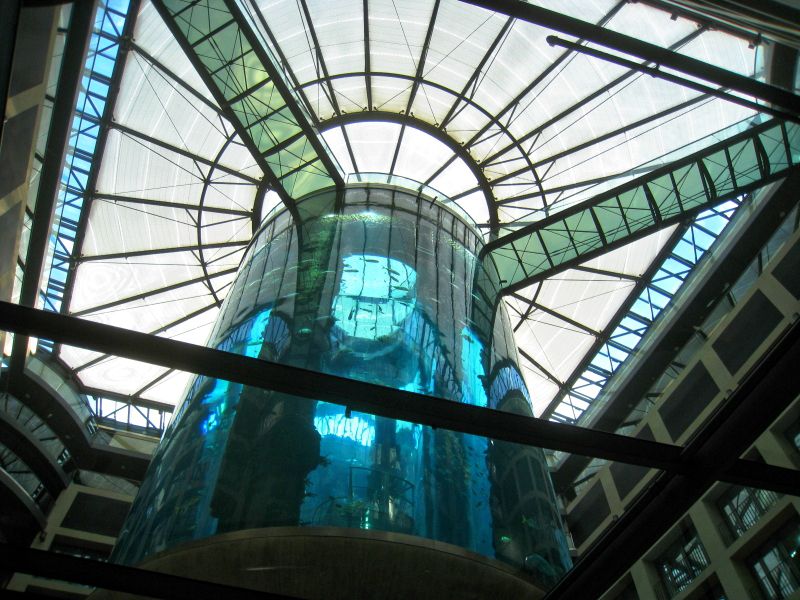 strange elevators aquadom