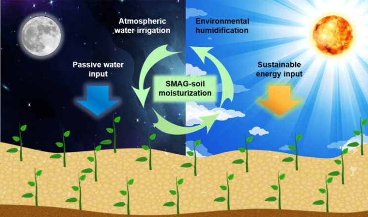 Engineers Create Self-Watering Soil That May Revolutionize Farming Engineers Create Self-Watering Soil That May Revolutionize Farming