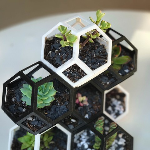 19 Exciting 3D Printing Projects That You Can Easily Print at Home 19 Exciting 3D Printing Projects That You Can Easily Print at Home