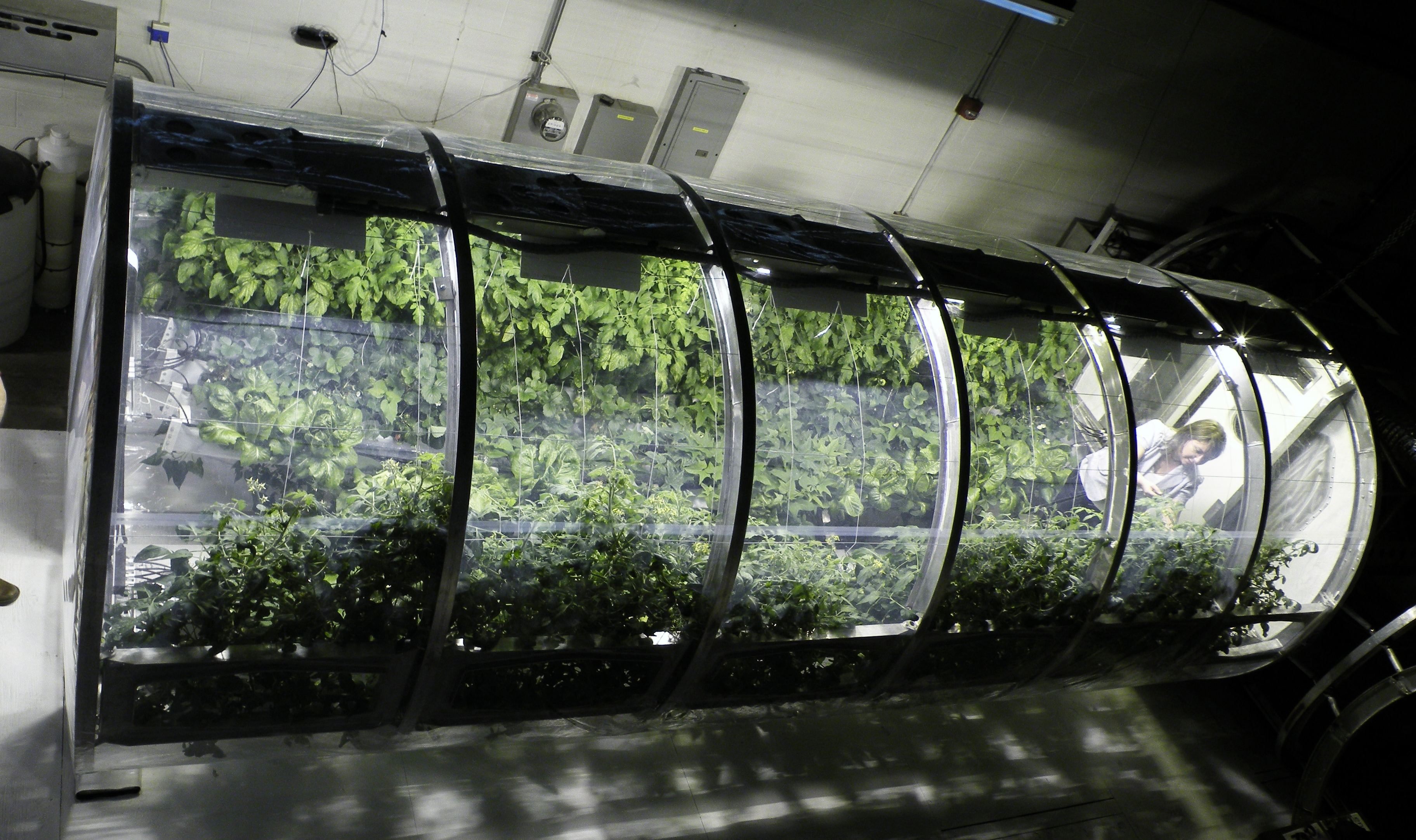 5 Ways We Can Grow Food for Future Space Colonies 5 Ways We Can Grow Food for Future Space Colonies