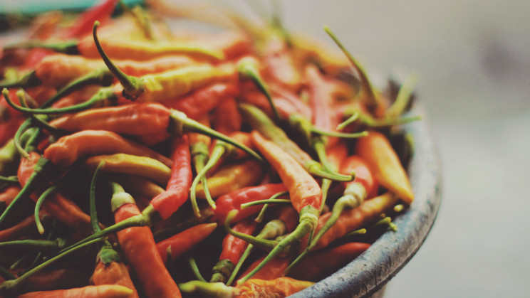 5 Ways We Can Grow Food for Future Space Colonies