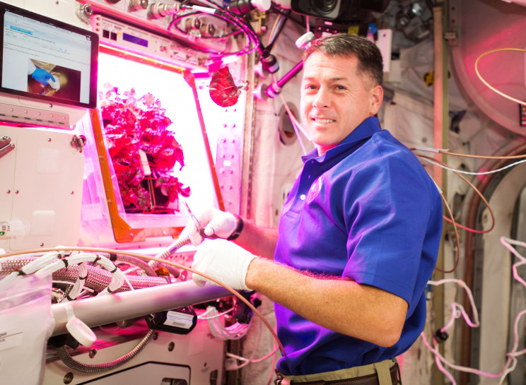 5 Ways We Can Grow Food for Future Space Colonies