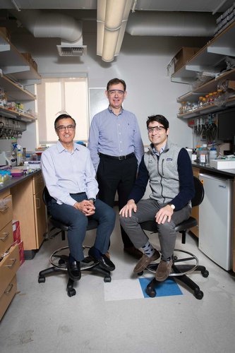 Ultrasound Can Selectively Eradicate Cancer Cells, Researchers Find Ultrasound Can Selectively Eradicate Cancer Cells, Researchers Find