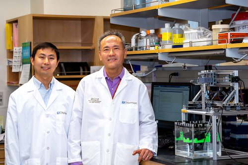 Ultrasound Can Selectively Eradicate Cancer Cells, Researchers Find Ultrasound Can Selectively Eradicate Cancer Cells, Researchers Find