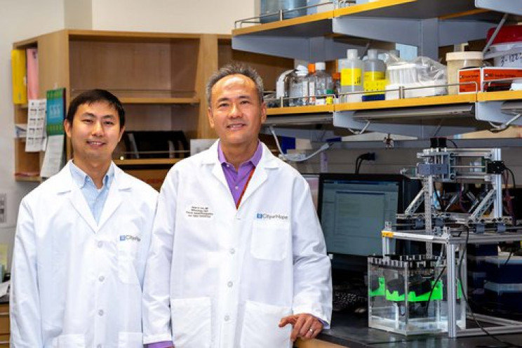 Ultrasound Can Selectively Eradicate Cancer Cells, Researchers Find
