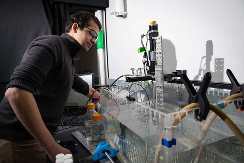 Ultrasound Can Selectively Eradicate Cancer Cells, Researchers Find Ultrasound Can Selectively Eradicate Cancer Cells, Researchers Find