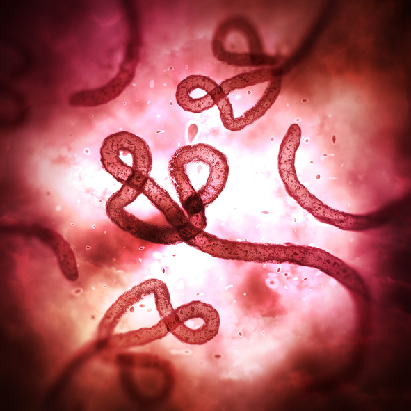 The Novel Coronavirus is Raising the Issue of Quarantine The Novel Coronavirus is Raising the Issue of Quarantine