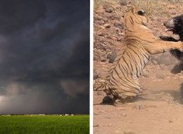 These 7 Videos Prove How Powerful Nature Is
