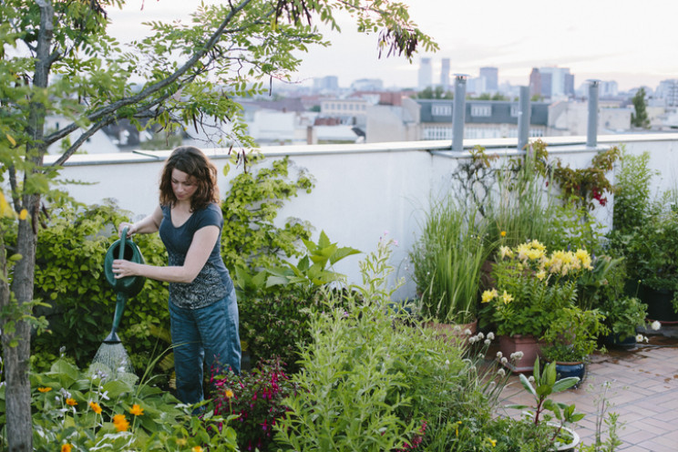 Meanwhile Back at the Farm: SMART Team Turns Microbial Engineering Green