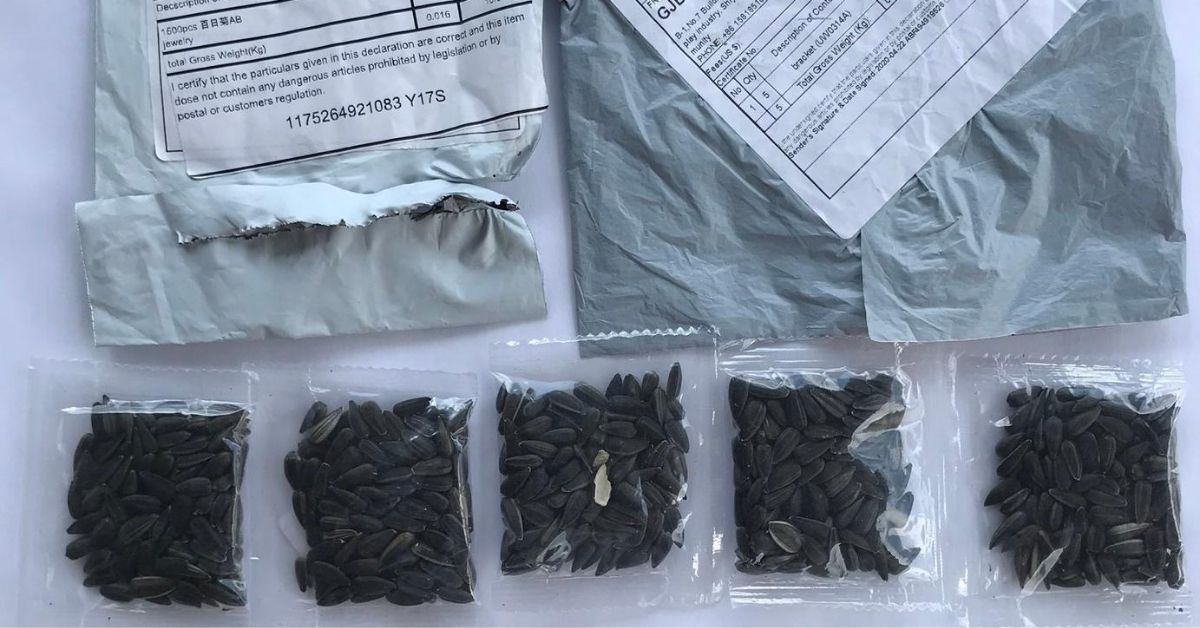 seeds-from-china-1 Seeds from China 1