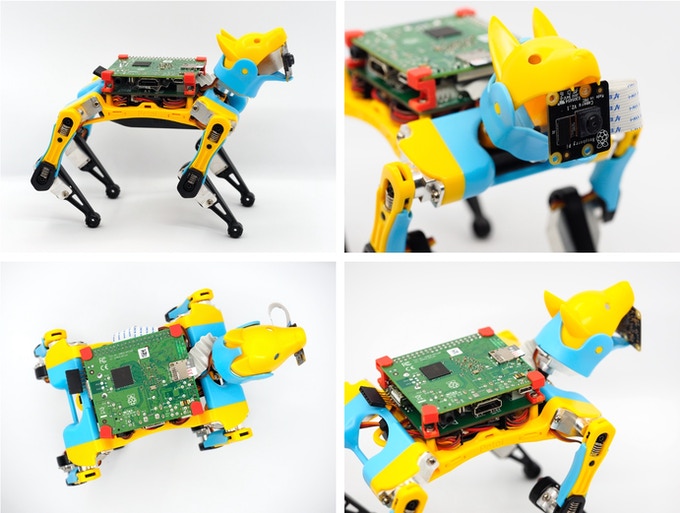 Meet Petoi Bittle: The Future of Robotic Pets Meet Petoi Bittle: The Future of Robotic Pets