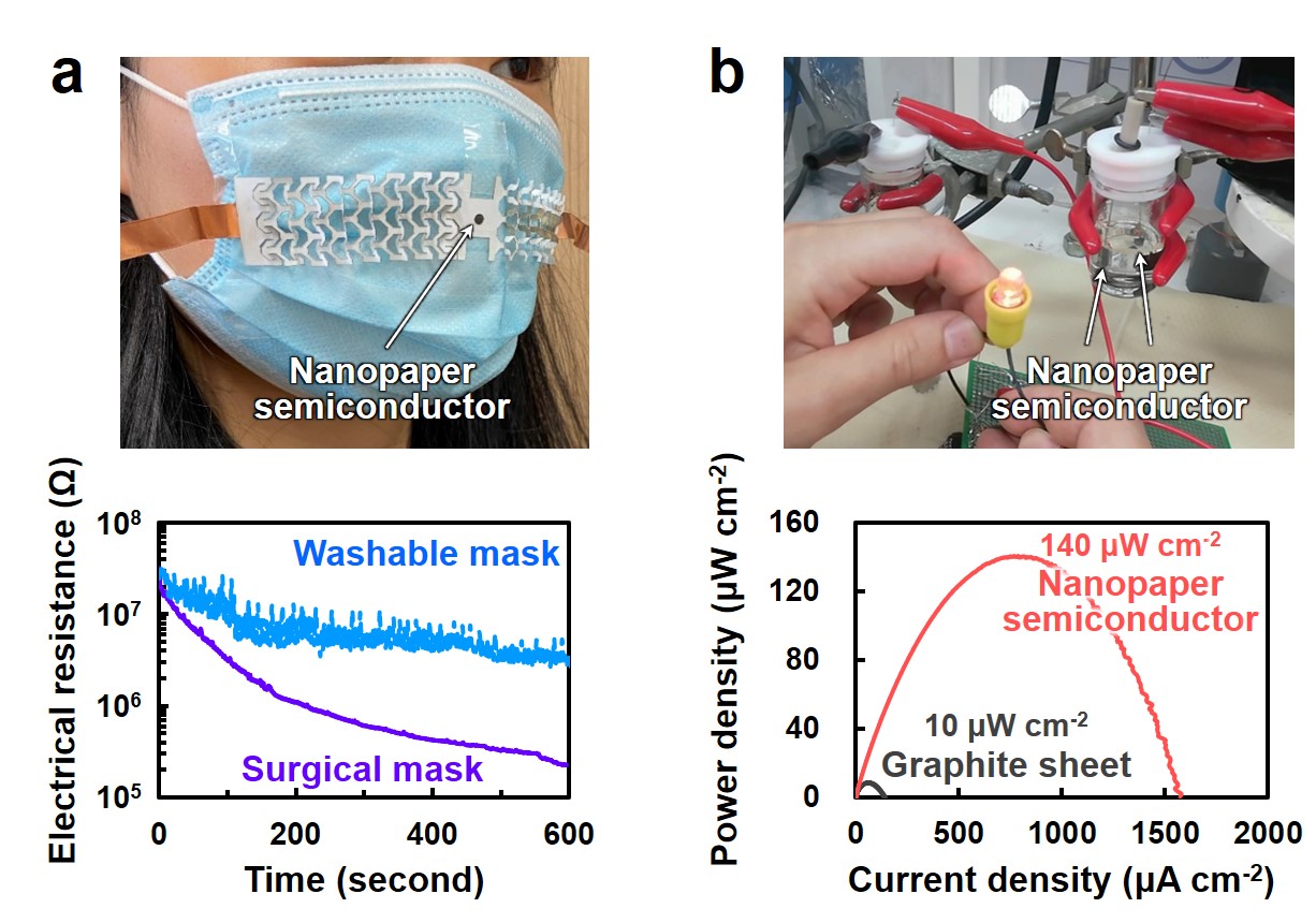 A new breakthrough brings semiconductors made of wood closer to reality A new breakthrough brings semiconductors made of wood closer to reality