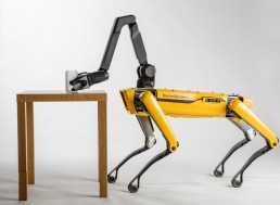 Spot The Robot Goes on Sale and Falls Over