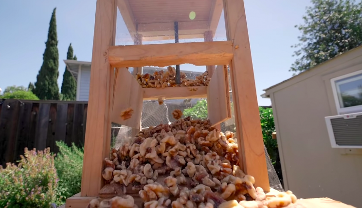 Ex-NASA Engineer Built a 'Ninja Warrior' Course to Stop Nut-Stealing Squirrels Ex-NASA Engineer Built a 'Ninja Warrior' Course to Stop Nut-Stealing Squirrels