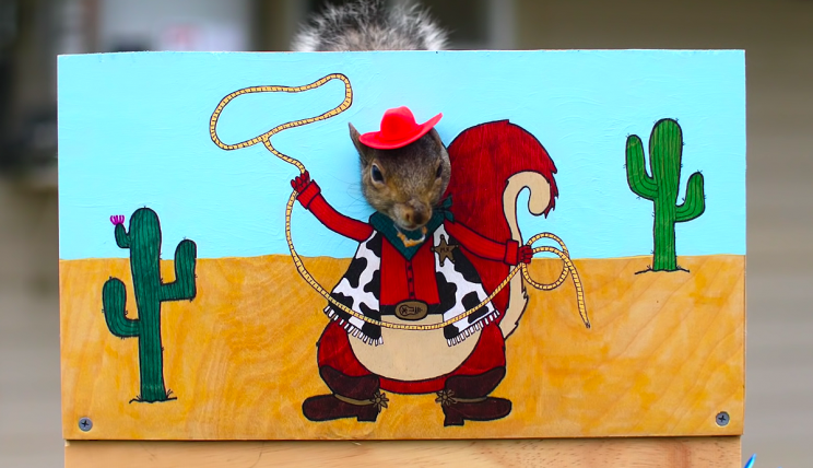 Ex-NASA Engineer Built a 'Ninja Warrior' Course to Stop Nut-Stealing Squirrels Ex-NASA Engineer Built a 'Ninja Warrior' Course to Stop Nut-Stealing Squirrels