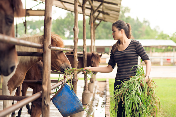 Teenagers working on farms Teenagers working on farms