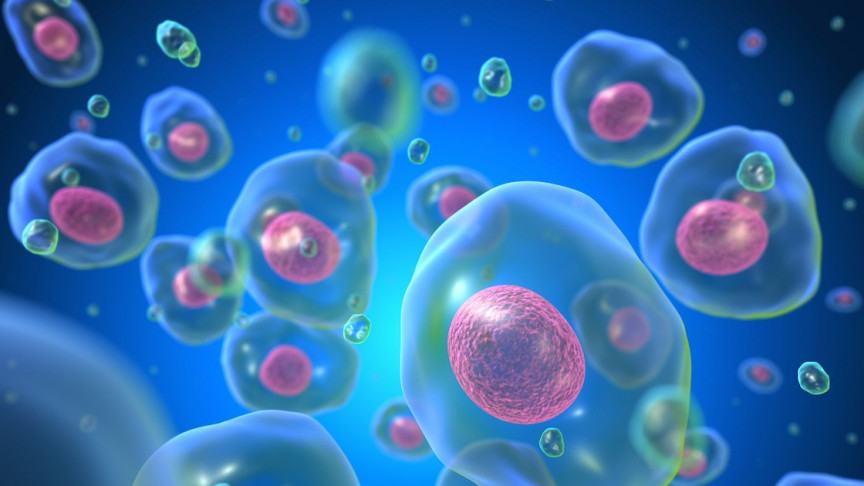 What are the Differences Between Prokaryotic and Eukaryotic Cells?