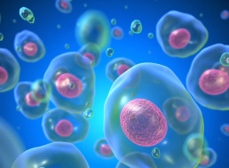What are the Differences Between Prokaryotic and Eukaryotic Cells?