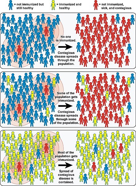 NIH/Wikimedia Commons An example of how herd immunity works