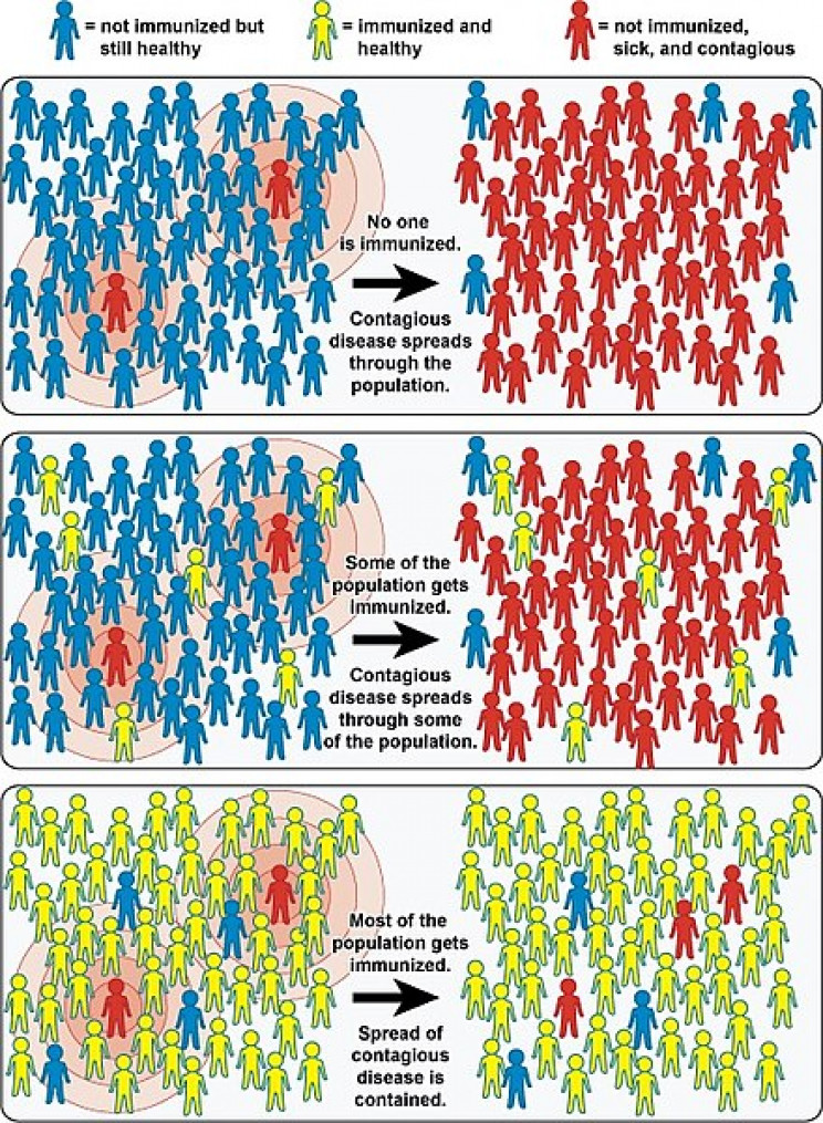 NIH/Wikimedia Commons An example of how herd immunity works