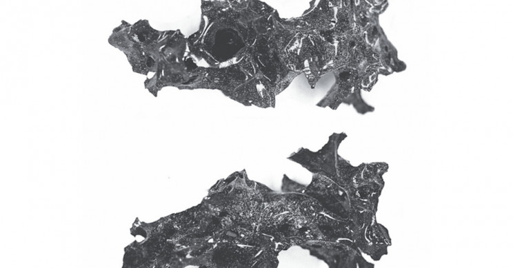 Mount Vesuvius Eruption Turned Man's Brain into Glass, per Study Mount Vesuvius Eruption Turned Man's Brain into Glass, per Study