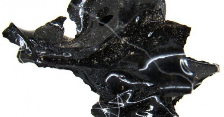 Mount Vesuvius Eruption Turned Man's Brain into Glass, per Study