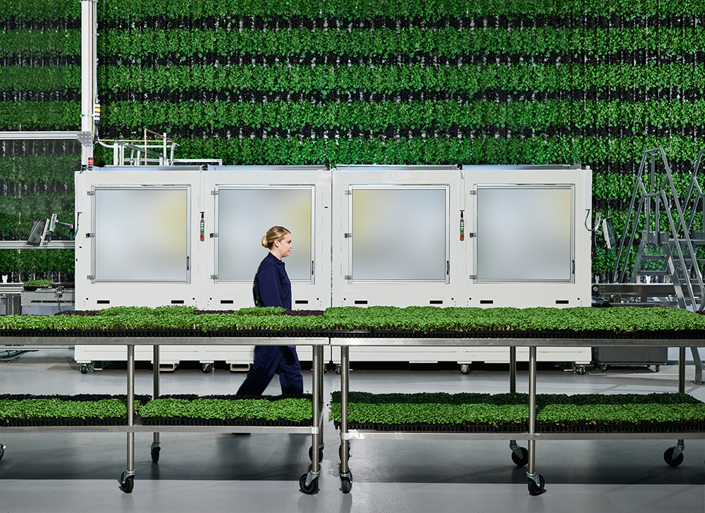 Vertical Farms Run by AI and Robots To Solve the Land Crisis Vertical Farms Run by AI and Robots To Solve the Land Crisis