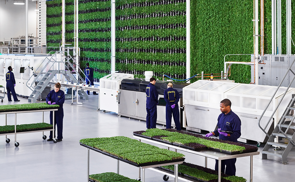 Vertical Farms Run by AI and Robots To Solve the Land Crisis Vertical Farms Run by AI and Robots To Solve the Land Crisis