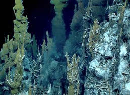 Explorer Breaks Record for Deepest Dive Ever by Reaching Bottom of the Mariana Trench
