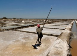 Salt of the Earth and of the Sea: There's a Lot More to the Story Than What's in Your Salt Shaker