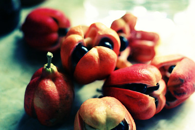 The Most Dangerous Foods in the World The Most Dangerous Foods in the World