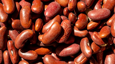 The Most Dangerous Foods in the World The Most Dangerous Foods in the World