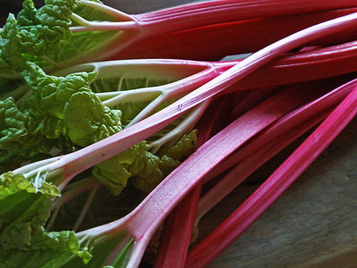 The Most Dangerous Foods in the World The Most Dangerous Foods in the World