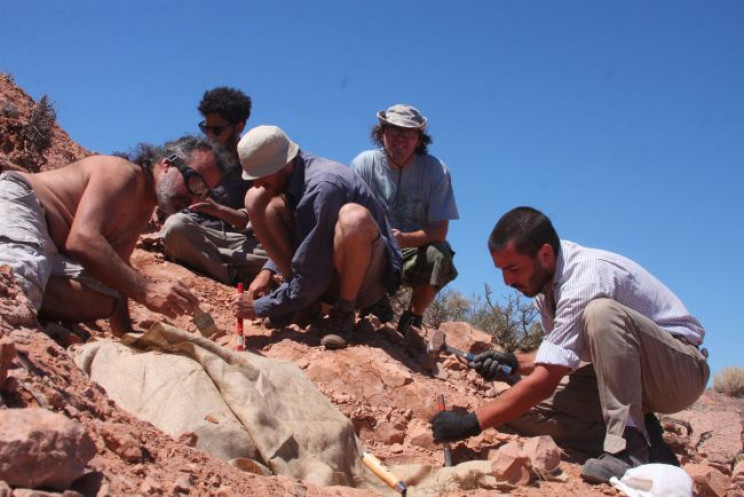 95-Million-Year-Old Skull Fossil Points to 'Biblical Snake' with Hind Legs 95-Million-Year-Old Skull Fossil Points to 'Biblical Snake' with Hind Legs