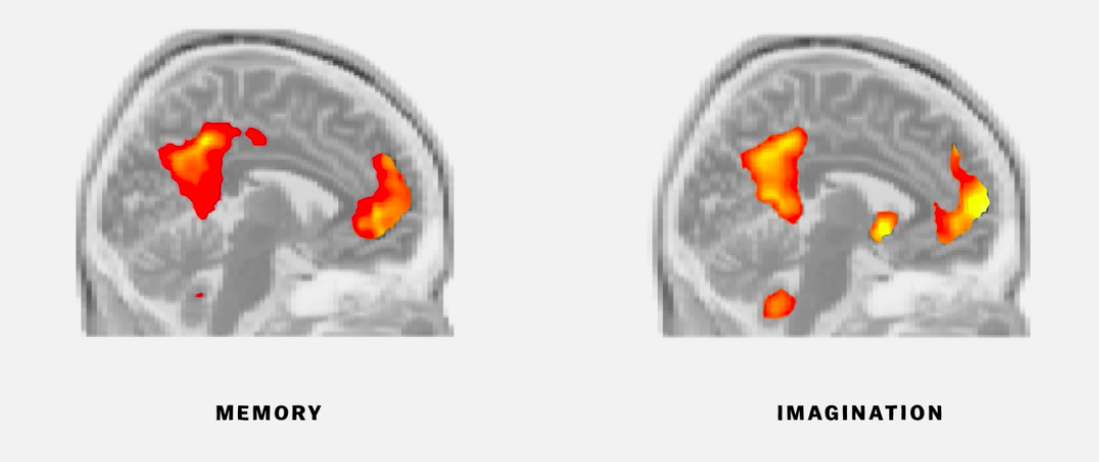 Netflix Miniseries 'The Mind, Explained' Explores the Fascinating Science of the Brain Netflix Miniseries 'The Mind, Explained' Explores the Fascinating Science of the Brain