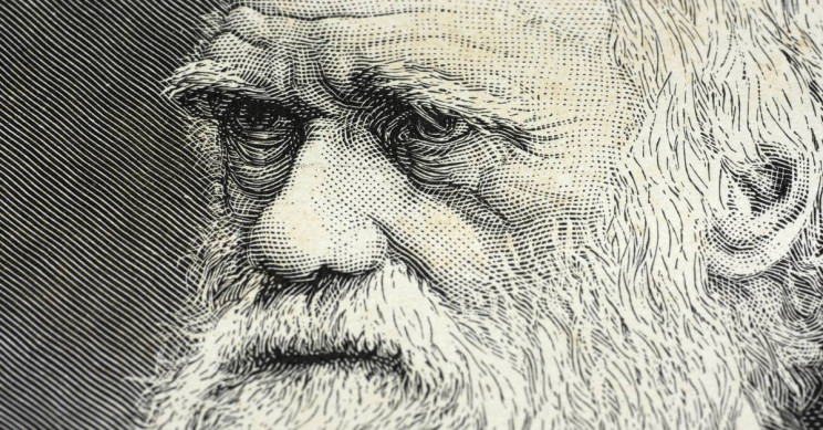Charles Darwin's Birthplace Transformed Into a University